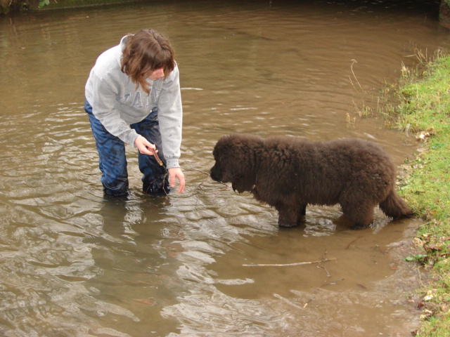 Publication : Du Domaine De Flambeau Auteur : proprietaire