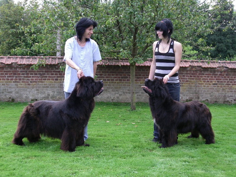 Publication : Du Domaine De Flambeau Auteur : proprietaire