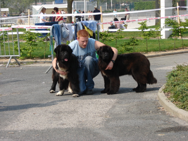 Publication : Du Domaine De Flambeau Auteur : proprietaire