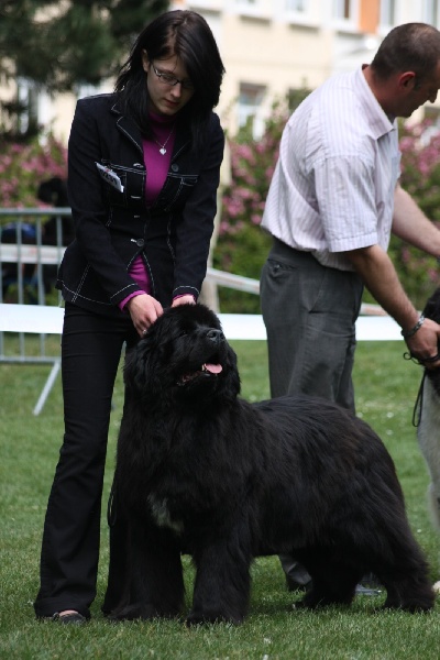 Black pearl Du Domaine De Flambeau - 3ème EXC