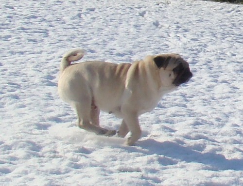 Publication : De karmachry