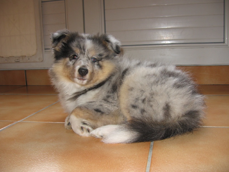 Blue water of freedom island
