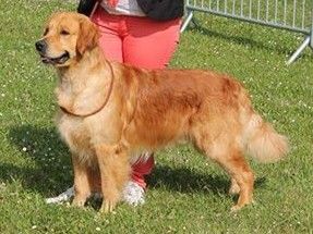 Give me a son to dad Angels of Tara