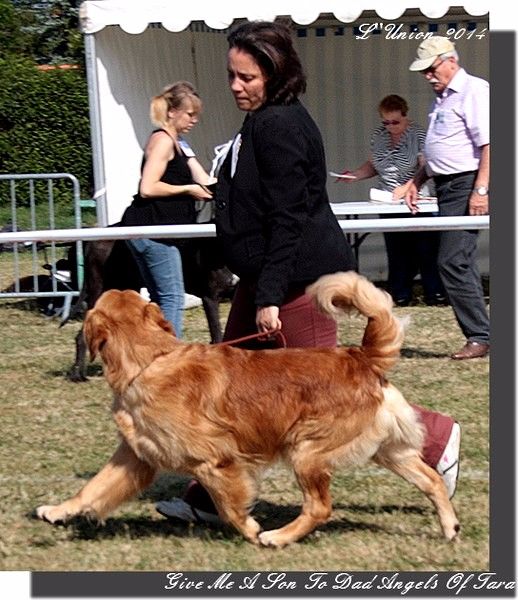 Give me a son to dad Angels of Tara