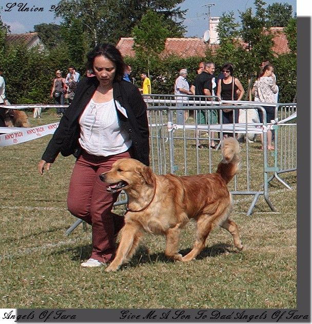 Give me a son to dad Angels of Tara