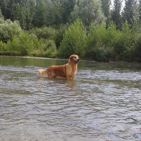 Give me a son to dad Angels of Tara