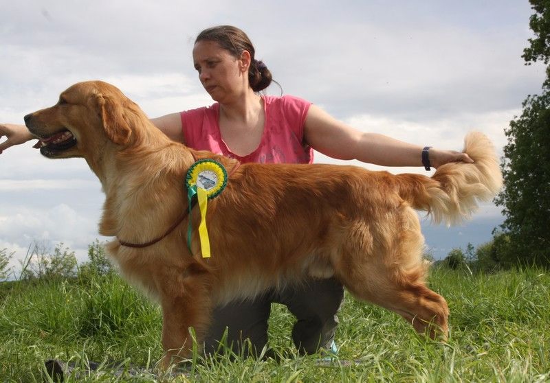 Give me a son to dad Angels of Tara