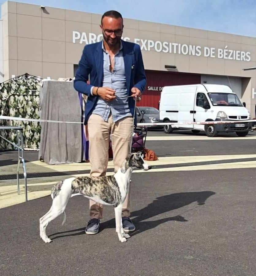 Publication : du domaine des Chojnacki Auteur : Stéphane Thimoleon