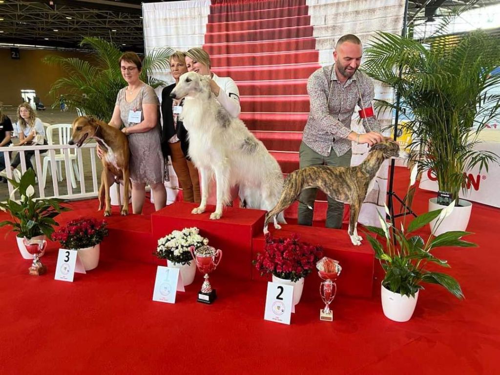 CH. Senza una donna du domaine des Chojnacki