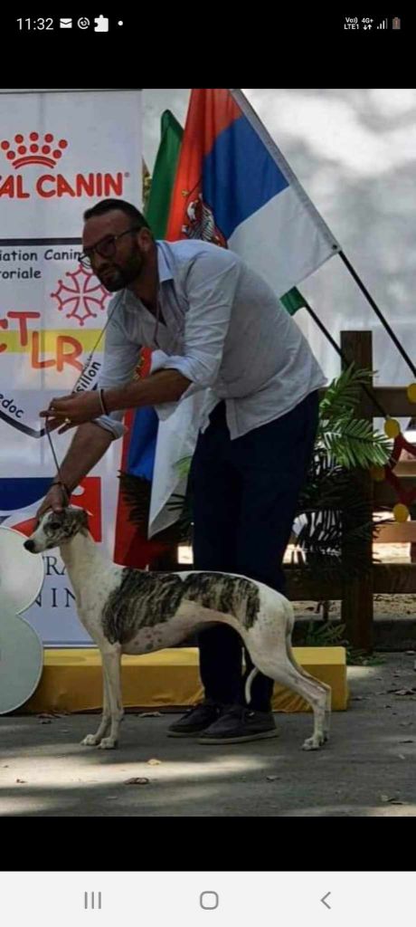 Publication : du domaine des Chojnacki Auteur : Stéphane Thimoleon