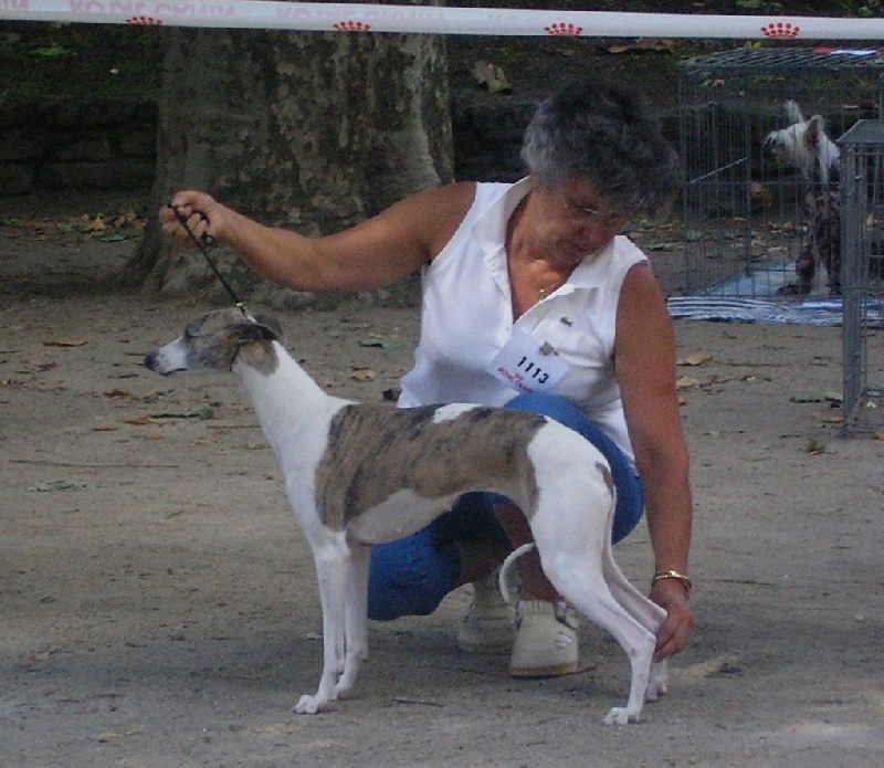CH. Une mélodie du domaine des Chojnacki