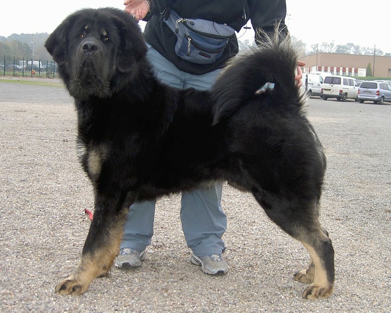 Publication : du domaine de Toundra