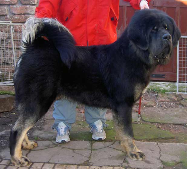 Publication : du domaine de Toundra