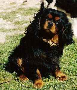 Petit opium Des Frimousses Calines