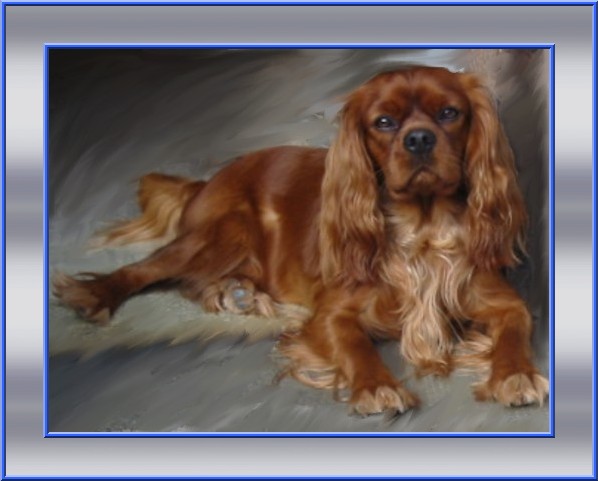 Améthyste Des Frimousses Calines