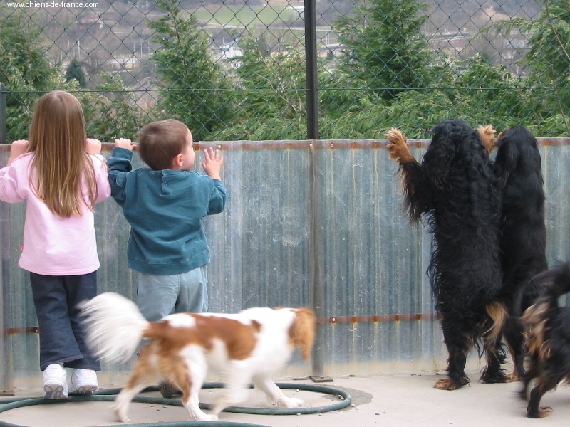 Petit opium Des Frimousses Calines