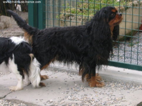 Petit opium Des Frimousses Calines