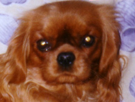 Petit opium Des Frimousses Calines