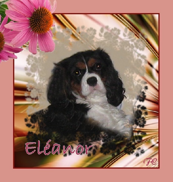 Eléanor Du Royaume des Emeraudes - EXCELLENT