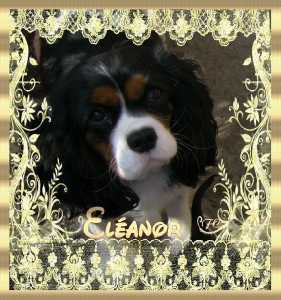 Eléanor Du Royaume des Emeraudes - 10 sur 10