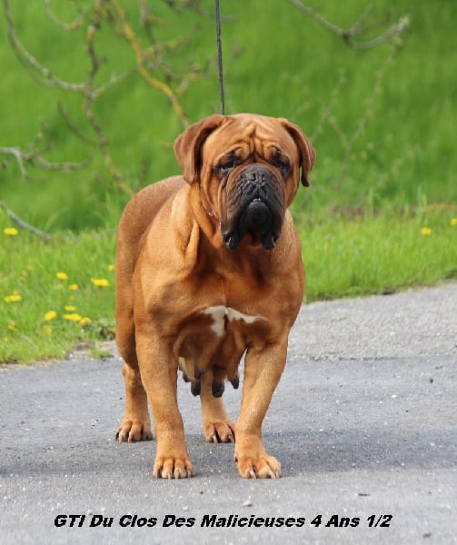 Gti Du clos des malicieuses