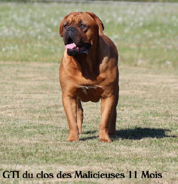 Gti Du clos des malicieuses