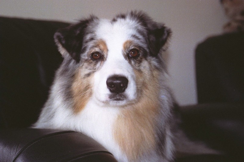 Publication : des dolmens d'An Arvor