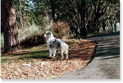 Publication : des dolmens d'An Arvor