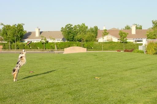 Publication : des dolmens d'An Arvor