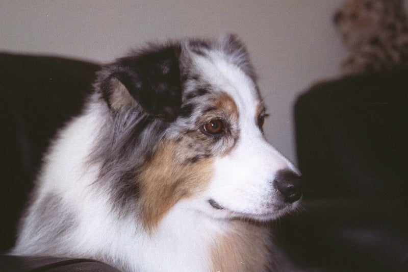 Publication : des dolmens d'An Arvor