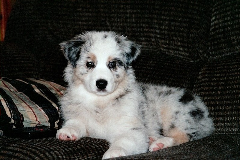 Publication : des dolmens d'An Arvor