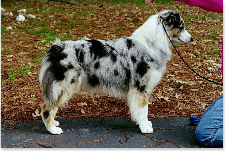 Publication : des dolmens d'An Arvor