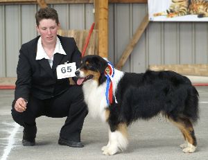 CH. Aragorn little black du Chemin de la Lune aux Reves - 1er Excellent