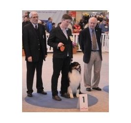 CH. Aragorn little black du Chemin de la Lune aux Reves - 1er prix