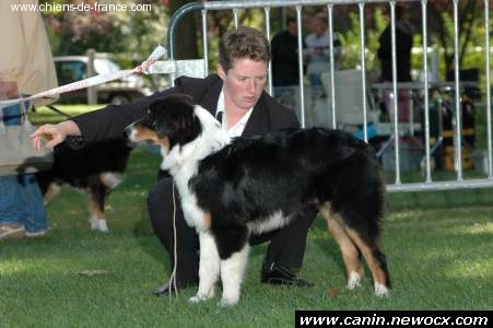 CH. Aragorn little black du Chemin de la Lune aux Reves - 3ème Prometteur