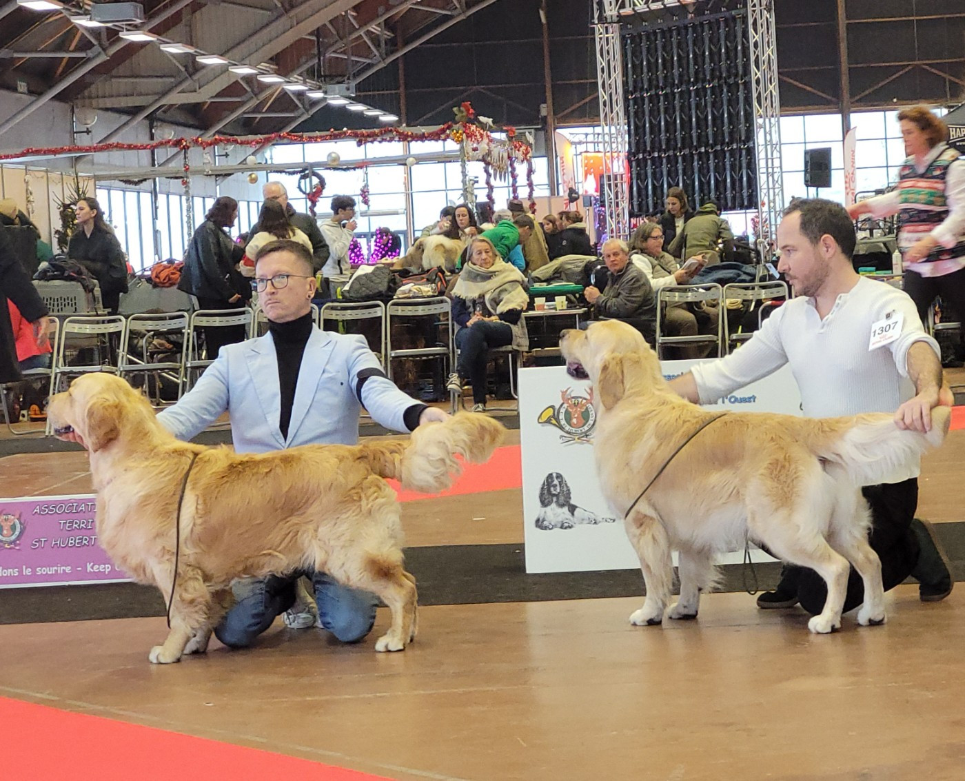 Virtuose mozart des jardins d epona