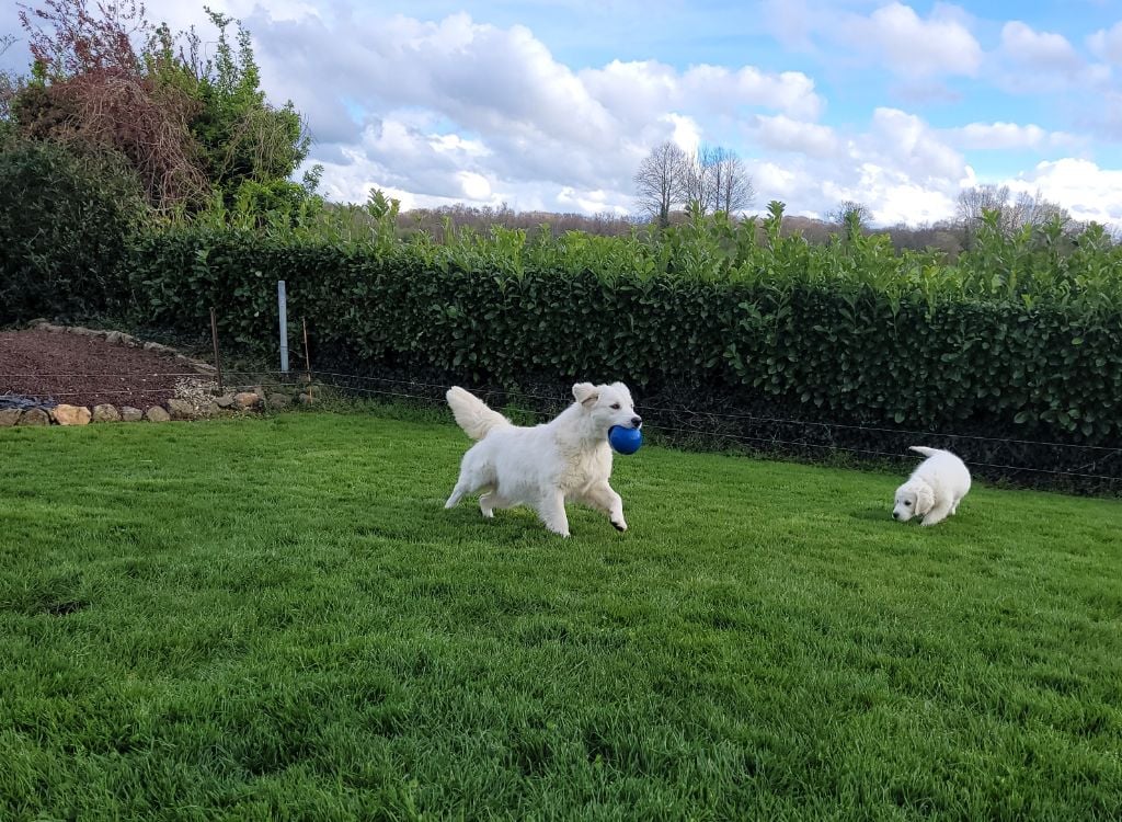 Uzzi watete des jardins d' epona