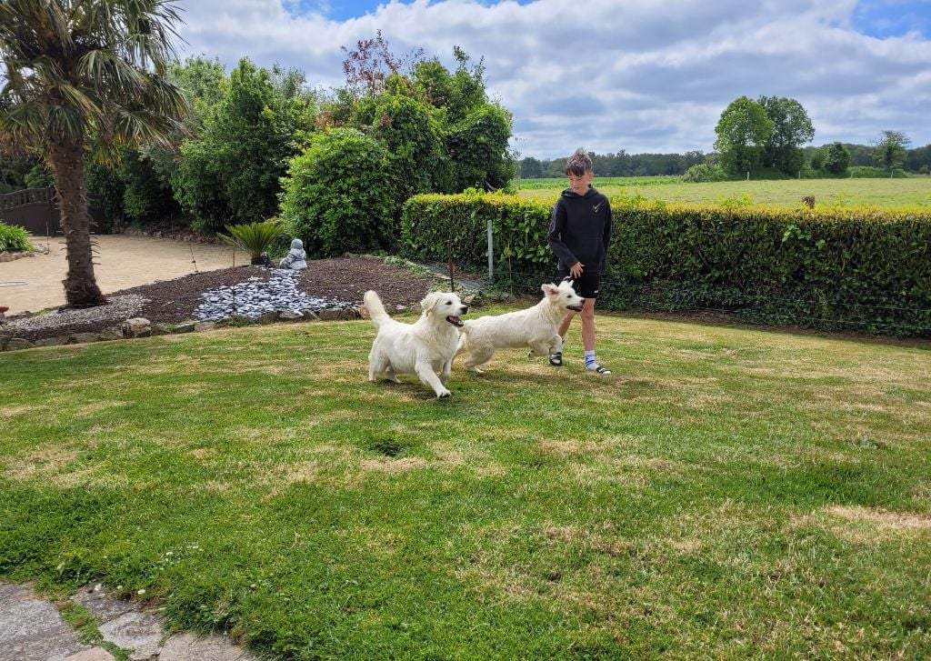 Uzzi watete des jardins d' epona