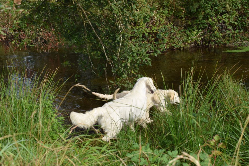Nadja du domaine des rives de l'erdre