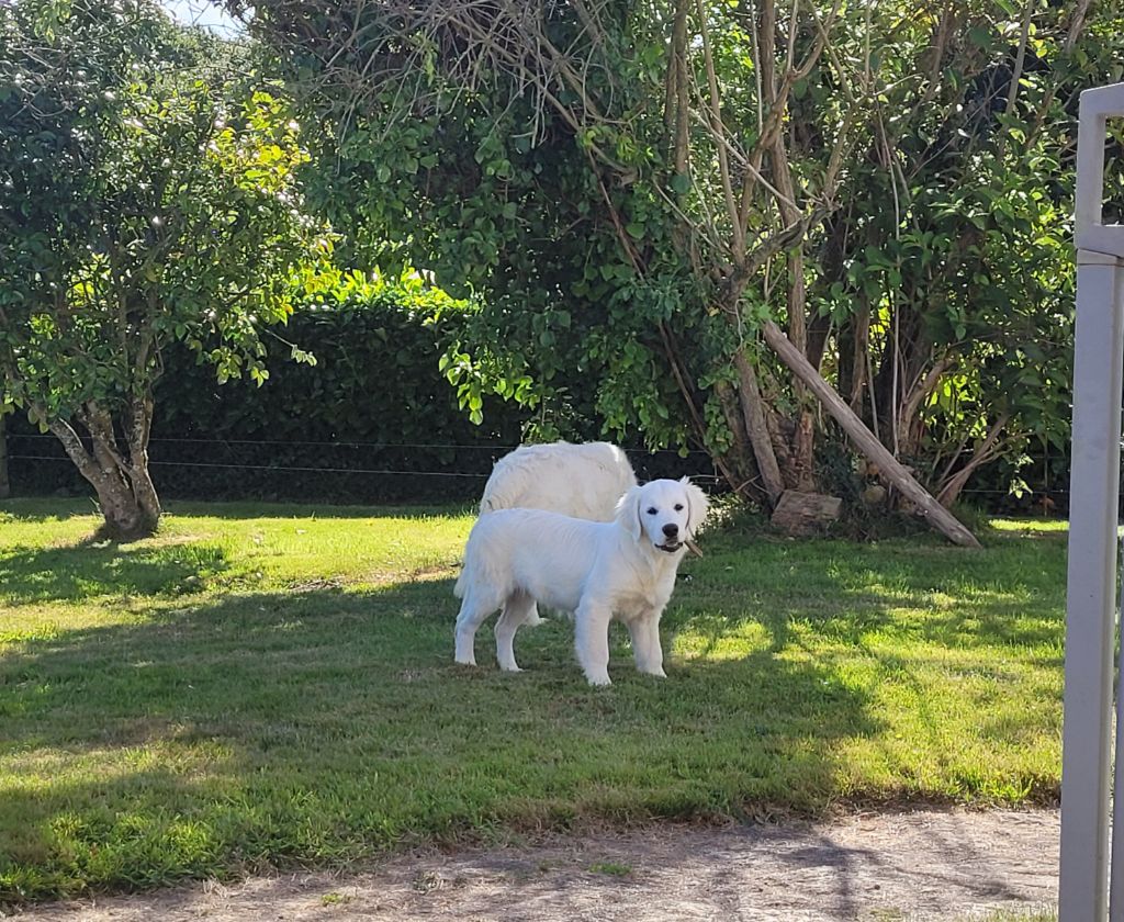 Uzzi watete des jardins d' epona