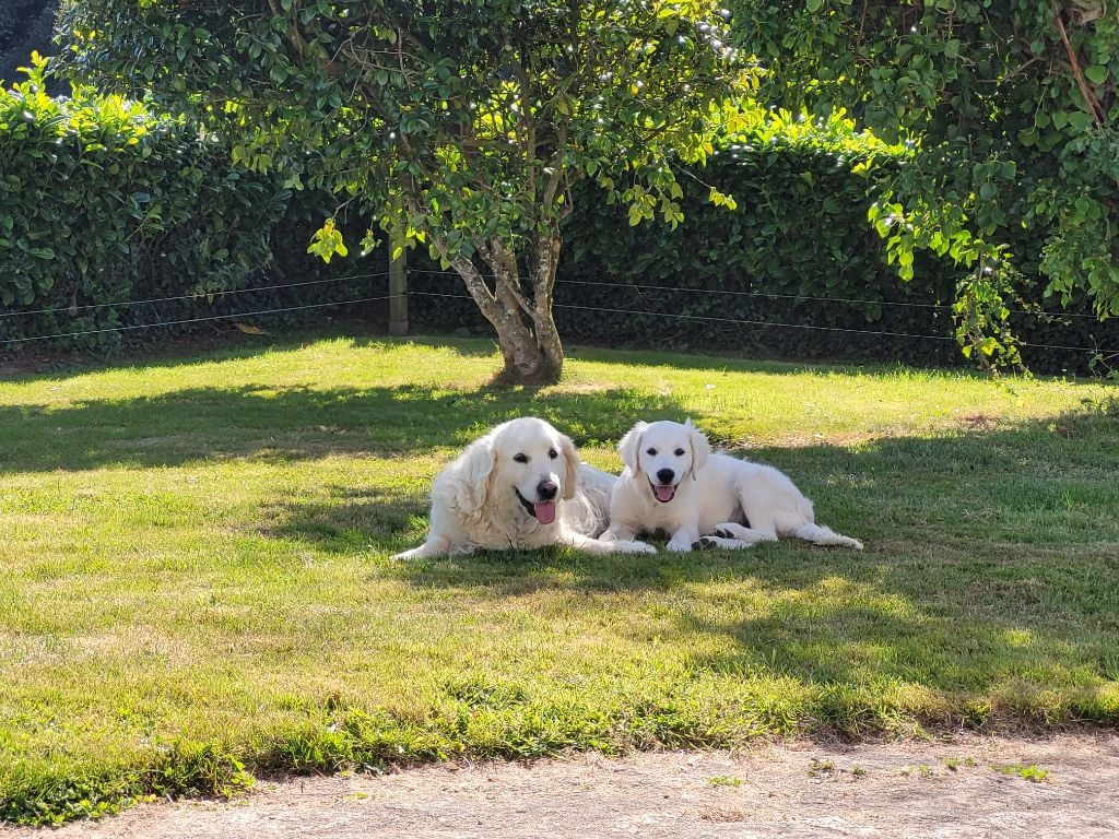 Uzzi watete des jardins d' epona