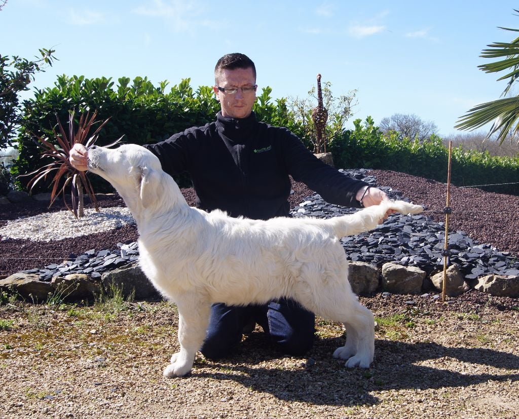 Macho man des jardins d epona