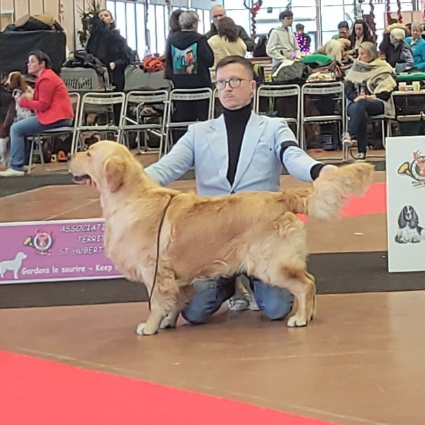 Virtuose mozart des jardins d epona - 1er excellent en classe intermédiaire CACS/ Meilleur de Race ( BOB)