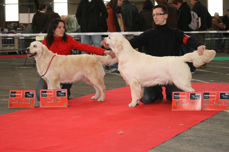 Cybèle de Bihan ki breizh - 1ère excellent en classe inter RCACS/RCACIB