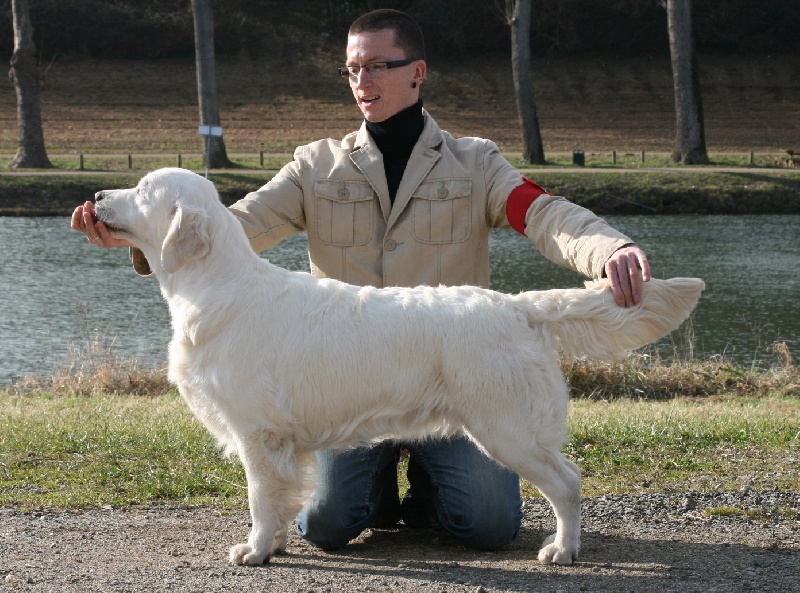 Cybèle de Bihan ki breizh - 3 ème exc en classe jeune