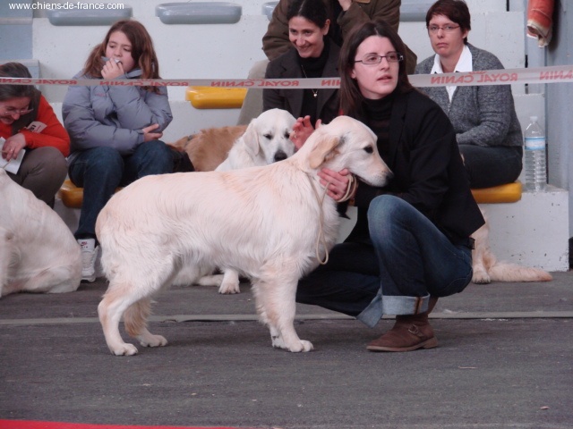 Lisa simpson del atrapasuenos - Très prometteur