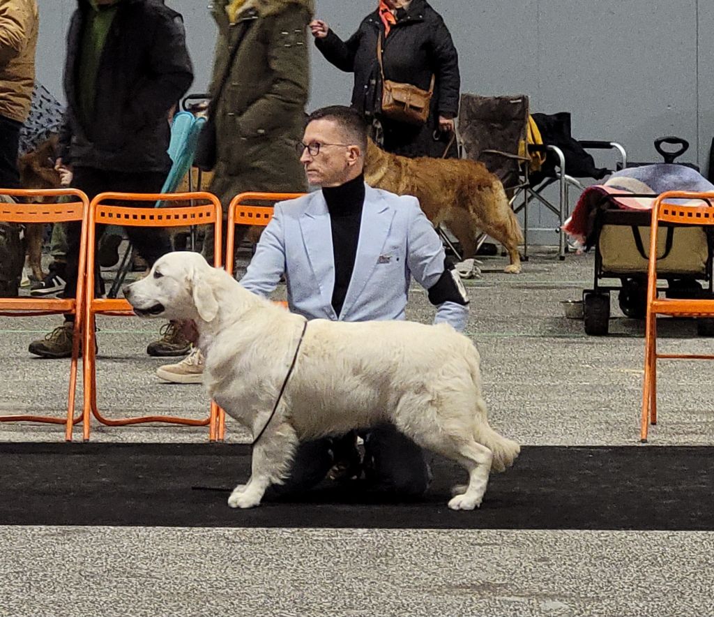 Val d orcia de Bihan ki breizh - 2 ème très prometteur