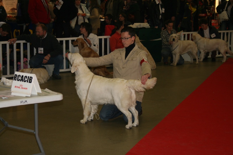 Cybèle de Bihan ki breizh - 2 ème excellent en classe jeune