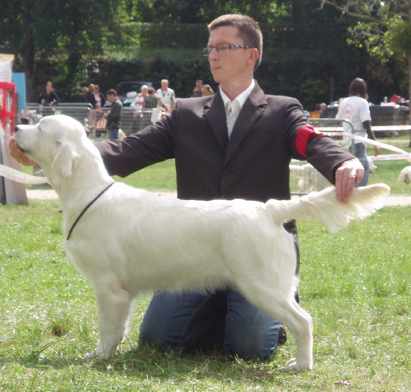 Cybèle de Bihan ki breizh - excellent non classé