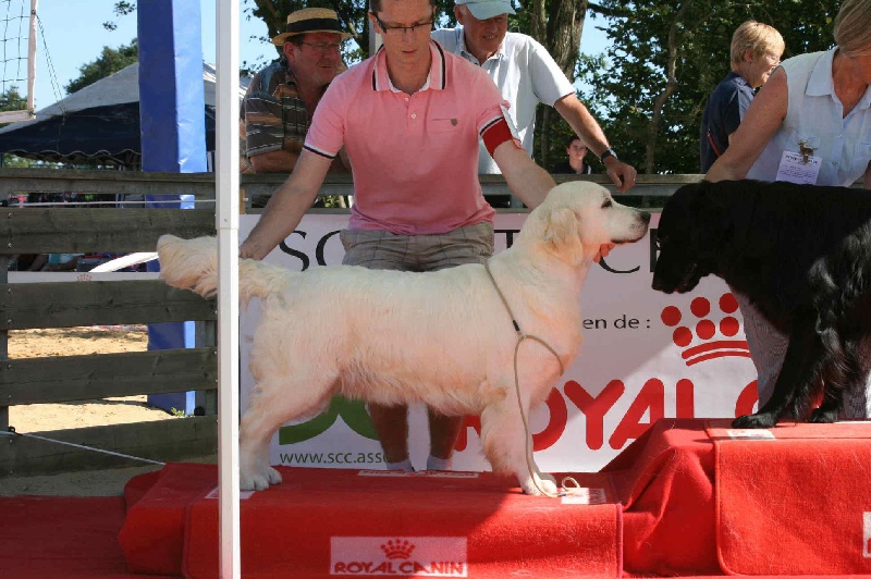Cybèle de Bihan ki breizh - 1ère excellent en classe ouverte, CACS, BOB et 2ème BOG!!!